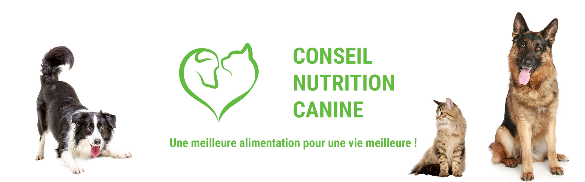 Projet nutrition canine