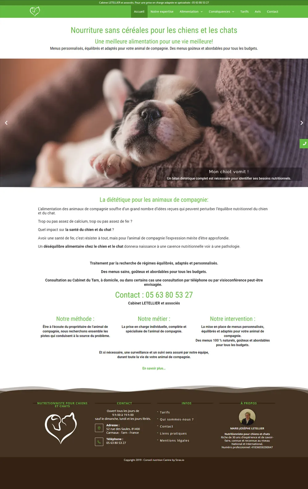 Site web conseil et nutrition canine : Accueil