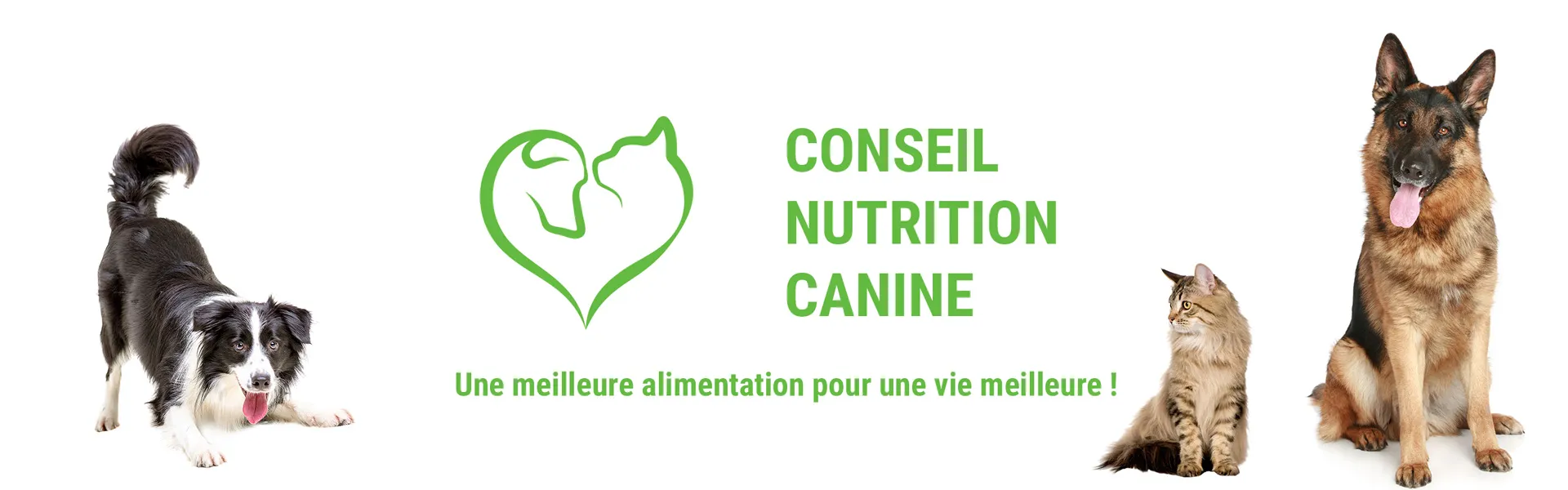Site web conseil et nutrition canine, projet réalisé pour Conseil Nutrition Canine