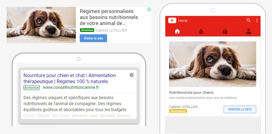 Site web conseil et nutrition canine